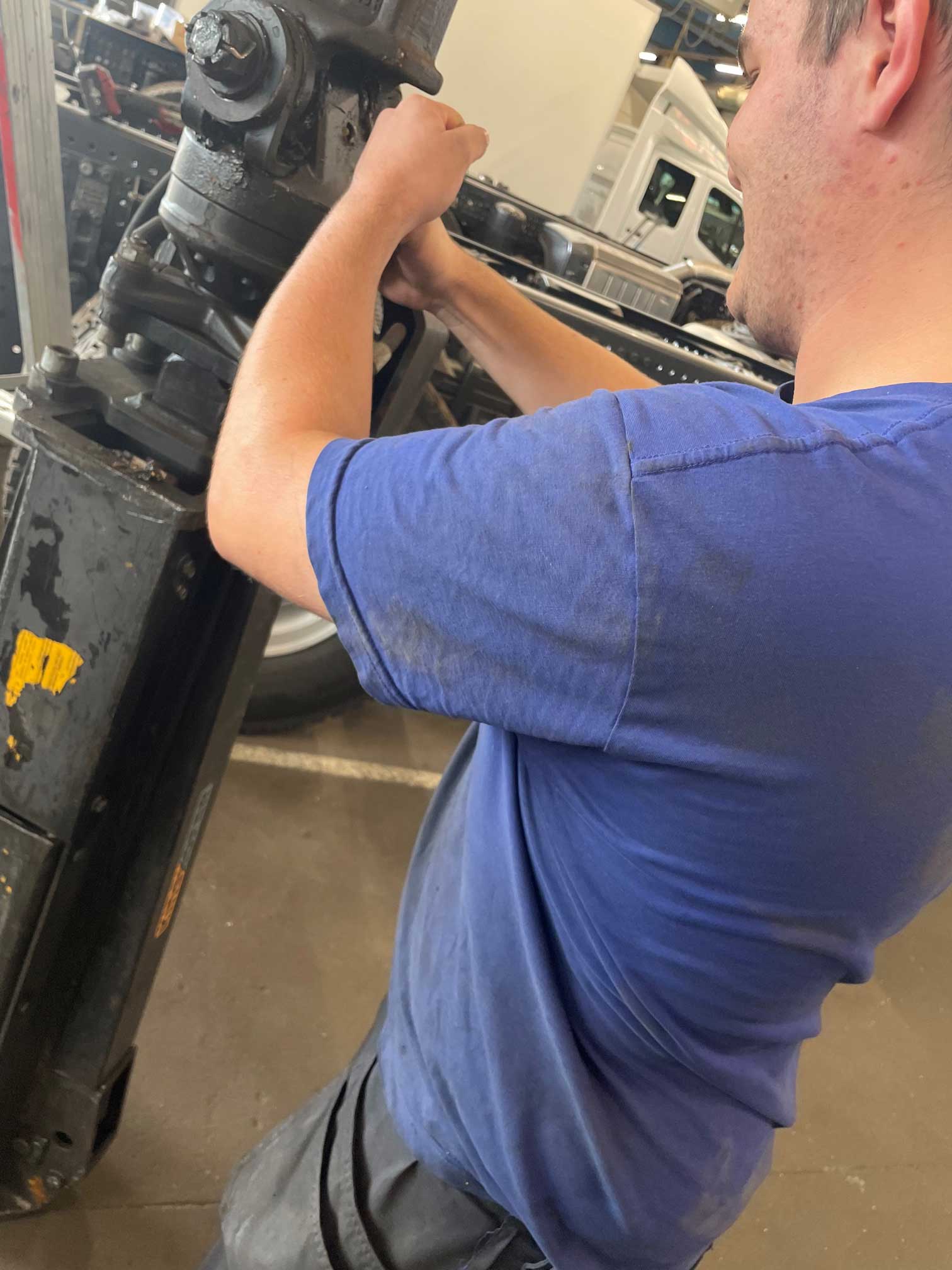 Fassi-service